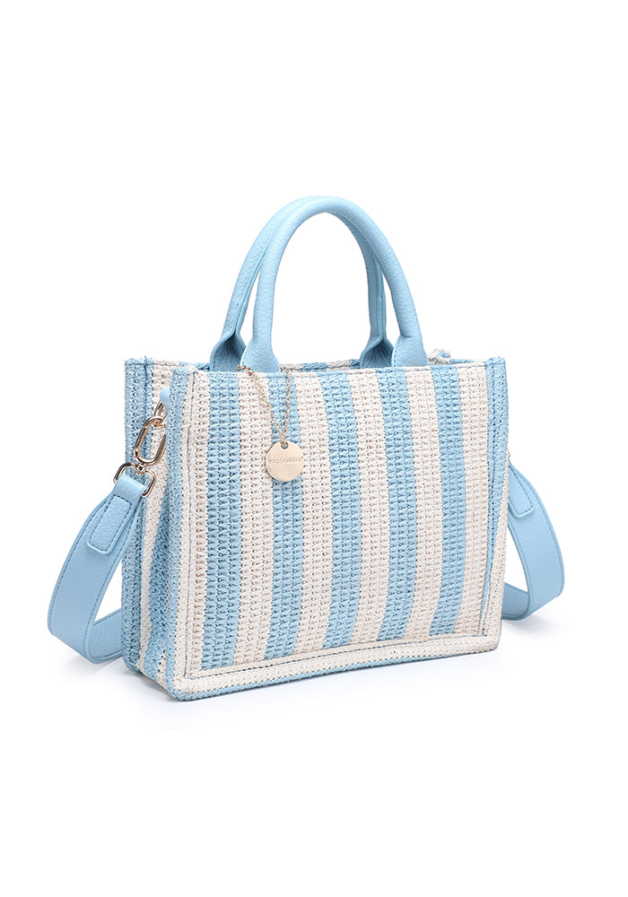 Chic Striped Woven Mini Tote Bag